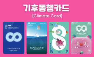기후동행카드