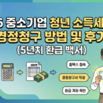 청년 소득세